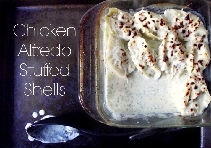 Chicken Alfredo Stuffed Shells