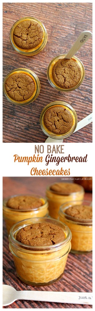 Pumpkin Gingerbread No Bake Cheesecakes