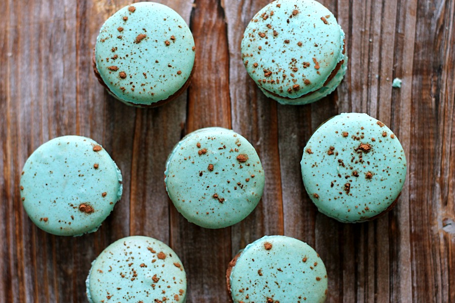 Gorgeous Robin's Eggs Macarons