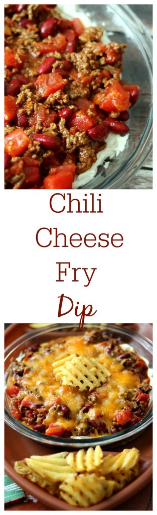 Chili Cheese Fry Dip, yum!