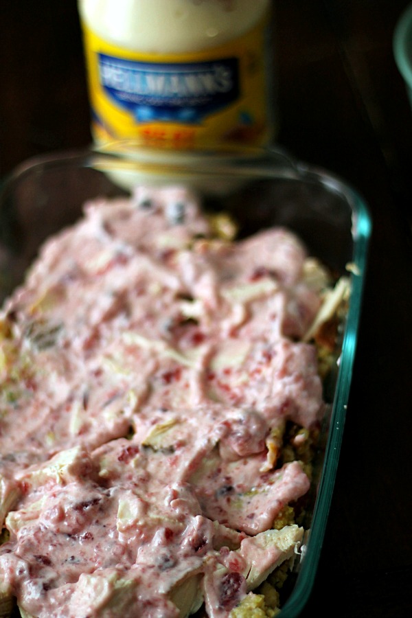 Cranberry Mayo